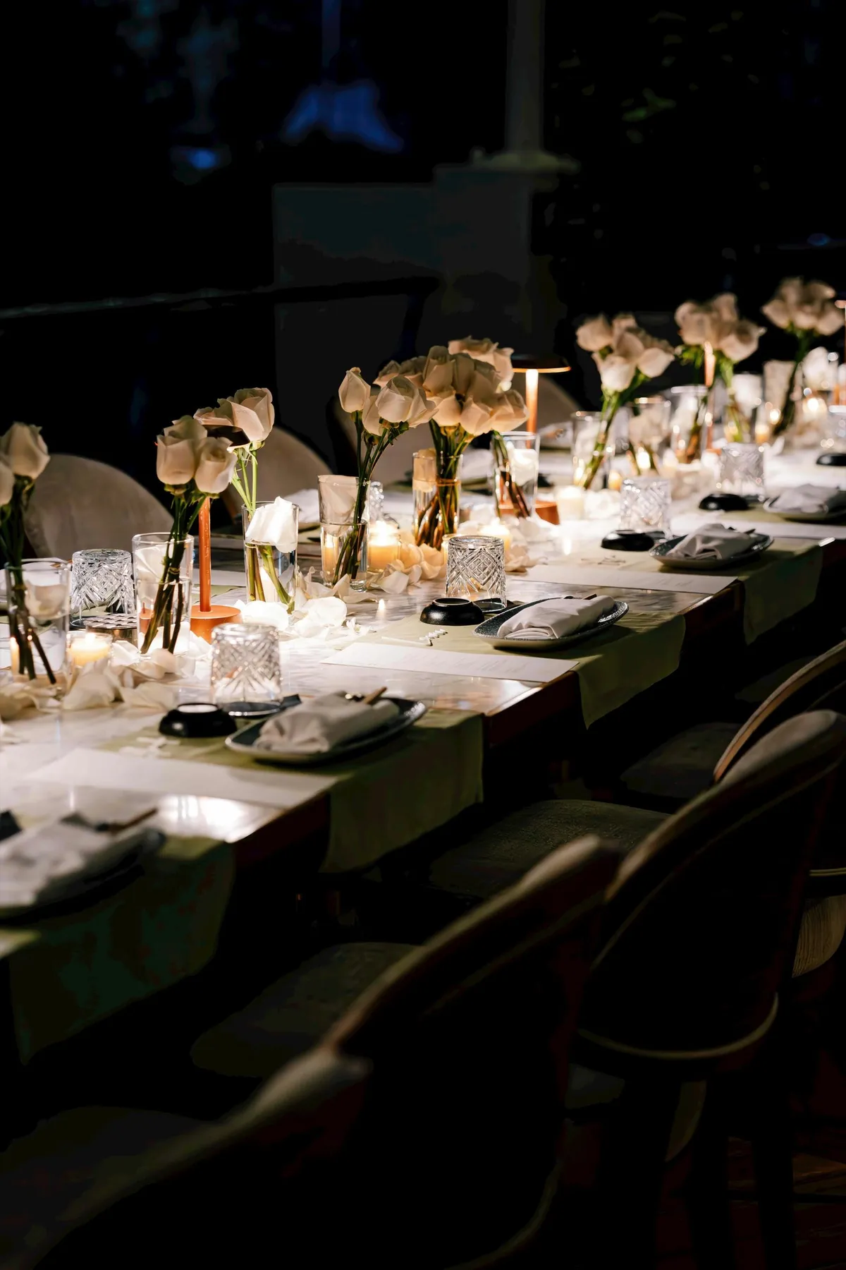 Long dinner table set for guests